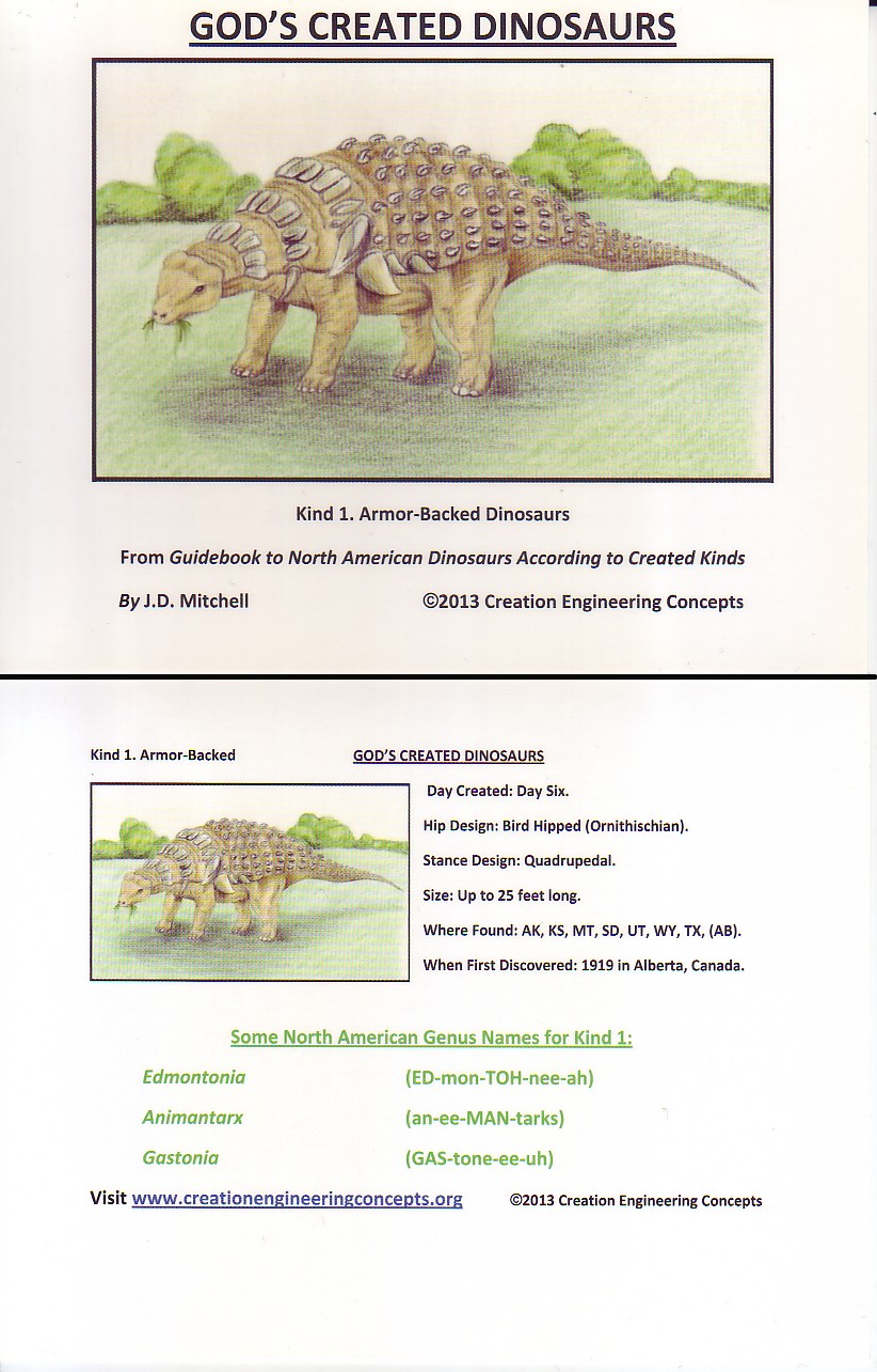 God S Created Dinosaurs Learning Card Pack Creation