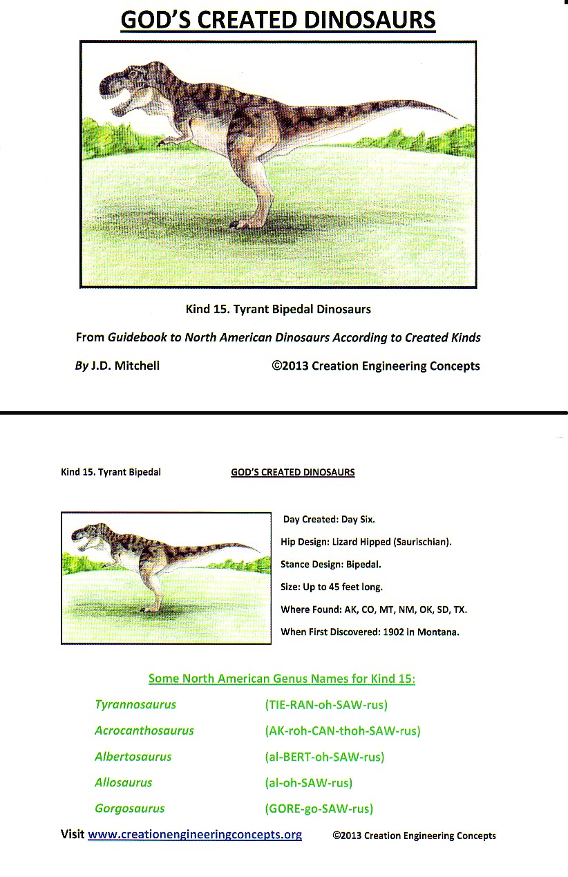 God S Created Dinosaurs Learning Card Pack Creation