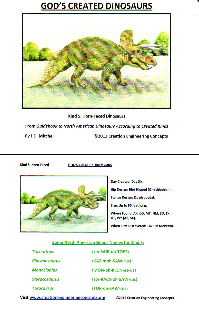 God S Created Dinosaurs Learning Card Pack Creation