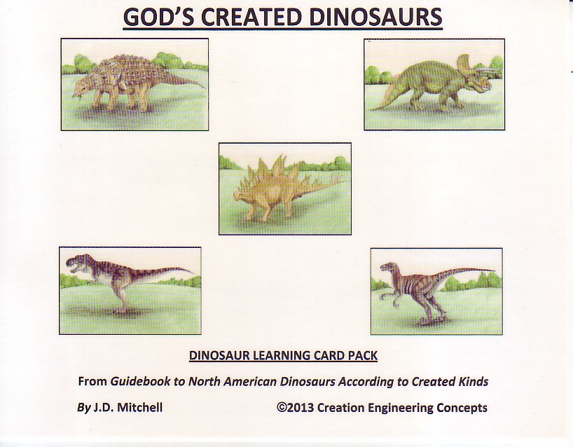 God S Created Dinosaurs Learning Card Pack Creation