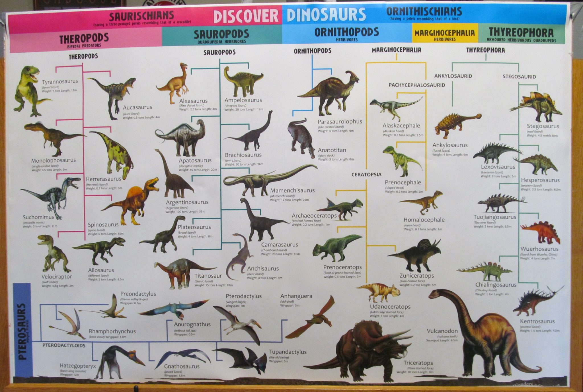 kinds and names of dinosaurs