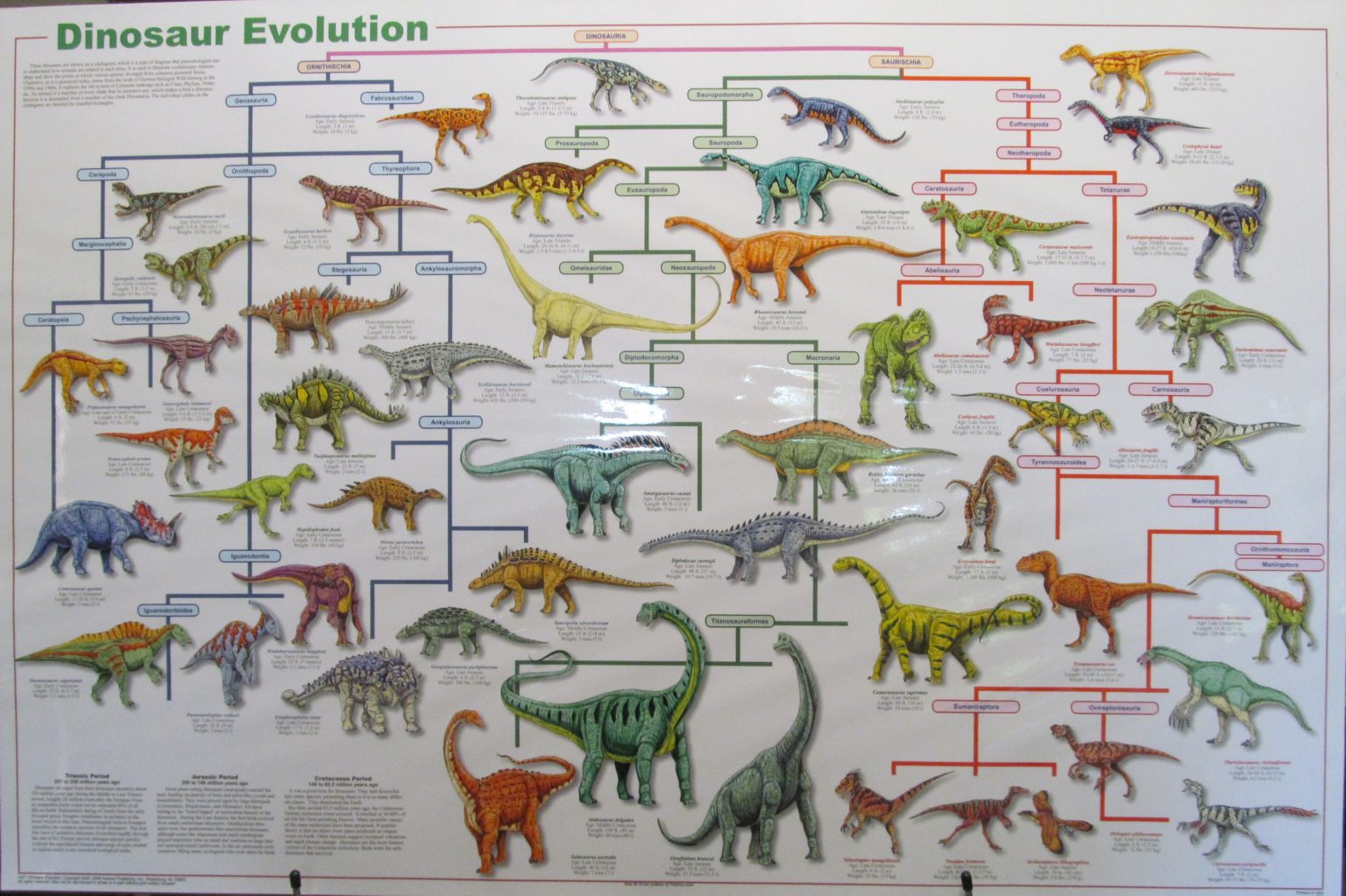 Img7591 Dinosaur Evolution Creation Engineering Concepts